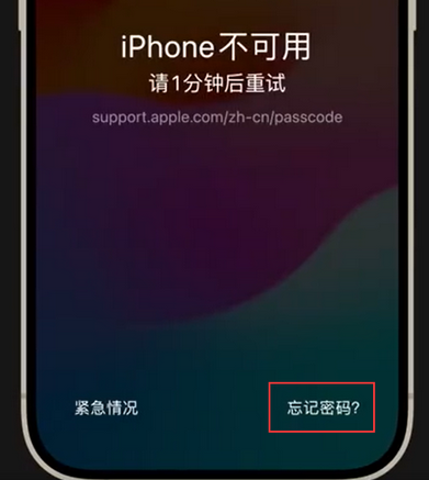 融安苹果手机密码维修分享iPhone忘记了刚设置的密码 